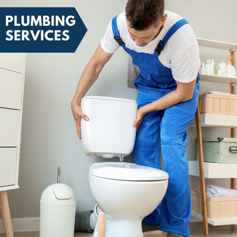 Plumbing Company in Reidsville, GA
